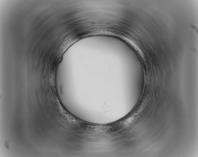 X0000096420905200802141631