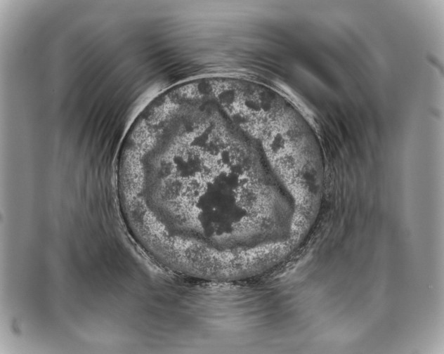 X0000096420907200802141631