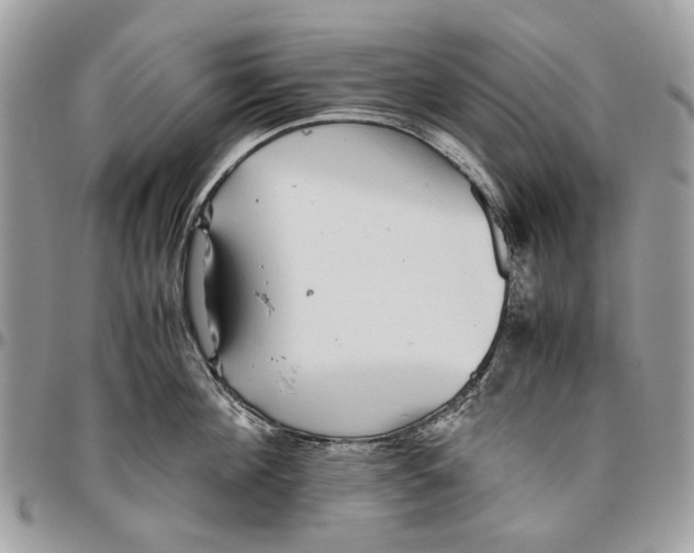 X0000096420908200802141631