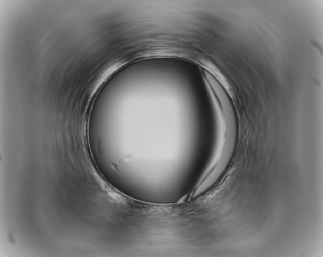 X0000096420909200802141631