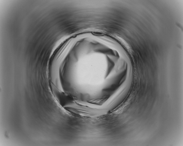 X0000096420910200802141631