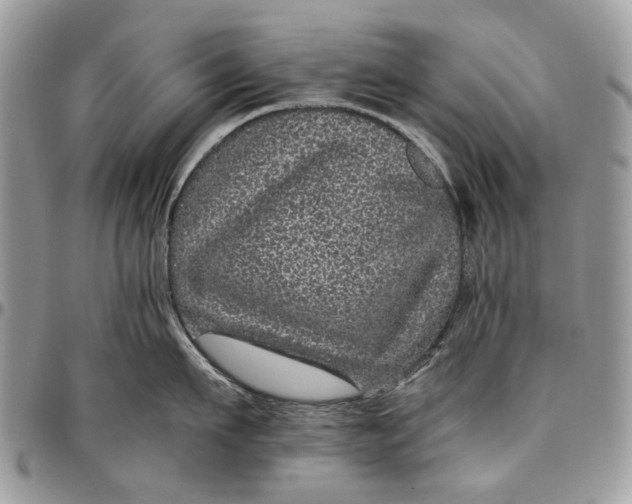 X0000096420911200802141631