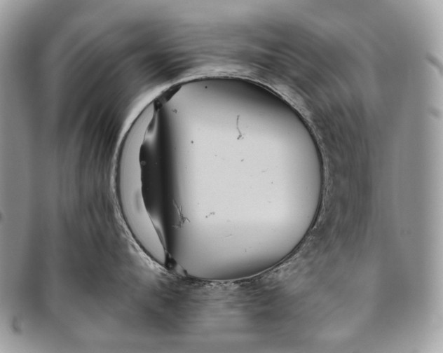 X0000096420912200802141631