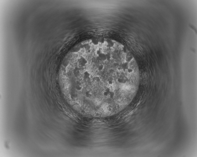 X0000096420913200802141630