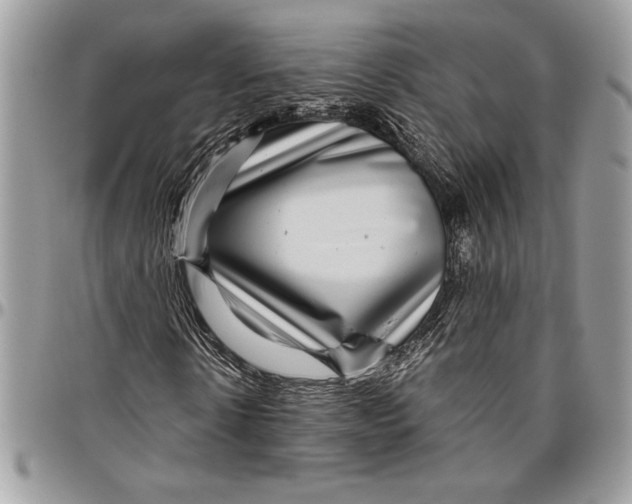 X0000096420914200802141630