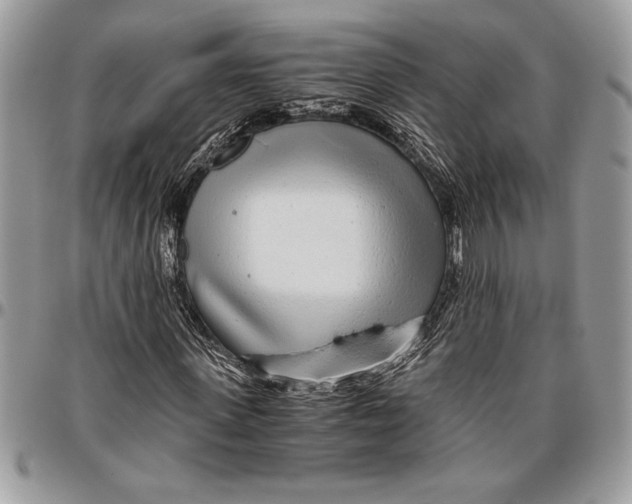 X0000096420915200802141630