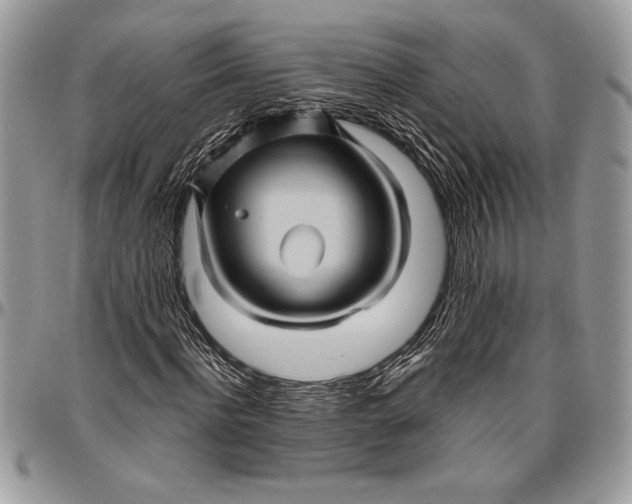 X0000096420916200802141630