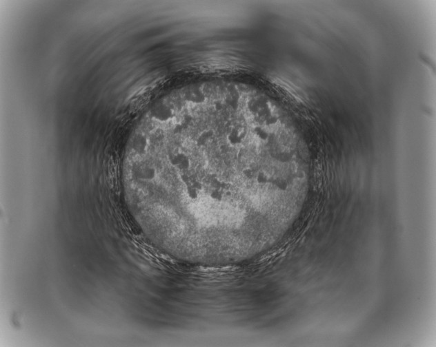 X0000096420917200802141630