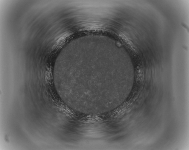 X0000096420918200802141630