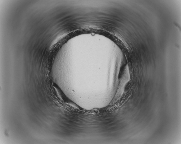 X0000096420919200802141630