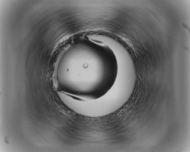 X0000096420920200802141630