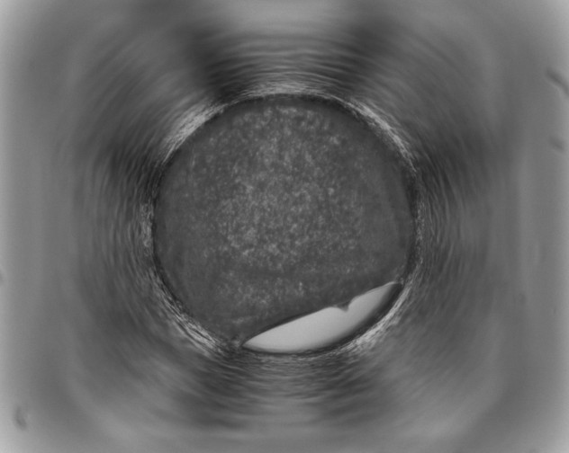 X0000096420921200802141630