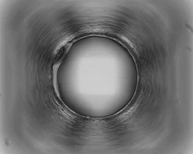 X0000096420922200802141631