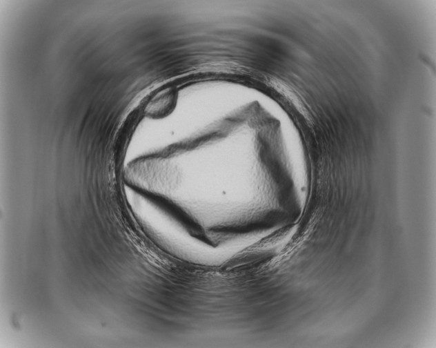 X0000096420923200802141631