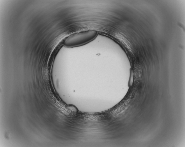 X0000096420924200802141631