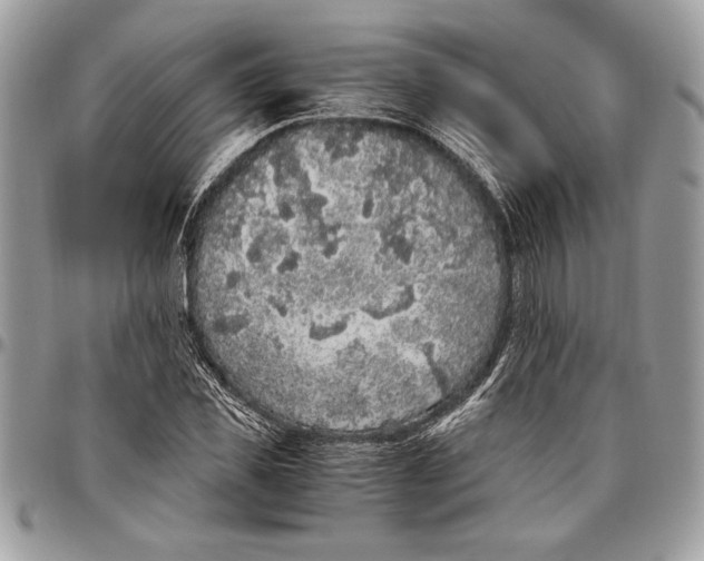 X0000096420925200802141631