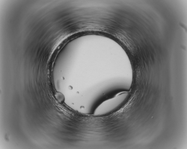 X0000096420926200802141631