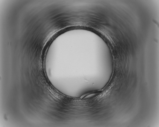 X0000096420927200802141631