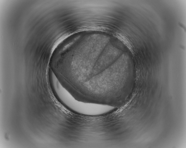 X0000096420928200802141631