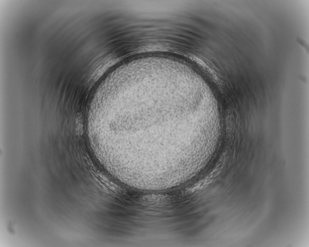 X0000096420929200802141631