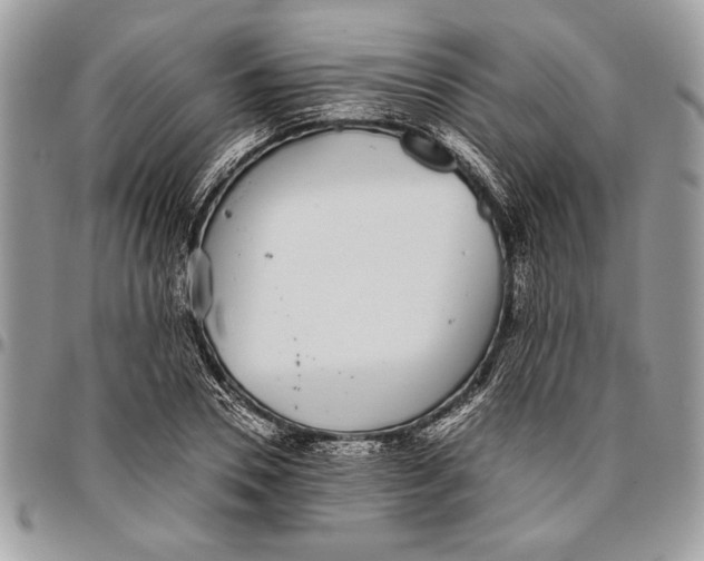 X0000096420930200802141631