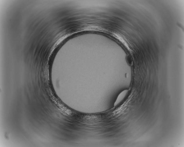 X0000096420931200802141631