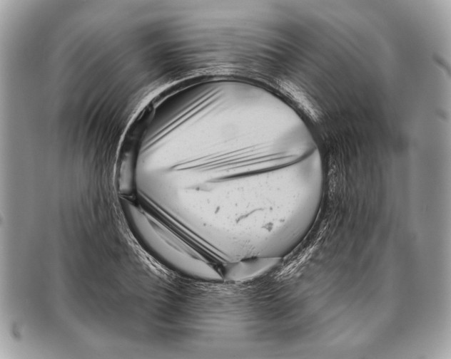 X0000096420932200802141631