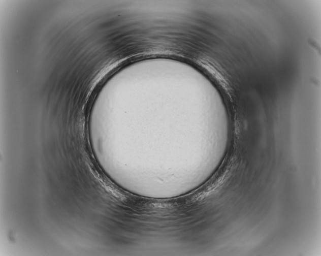 X0000096420933200802141631