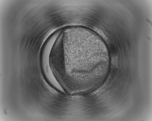 X0000096420934200802141631