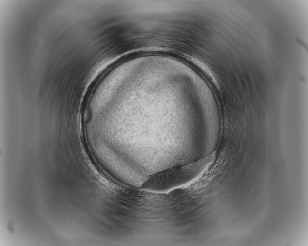 X0000096420935200802141631