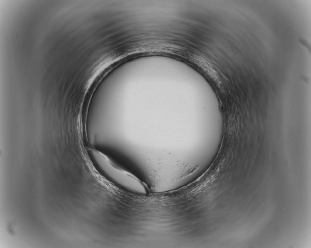 X0000096420936200802141631