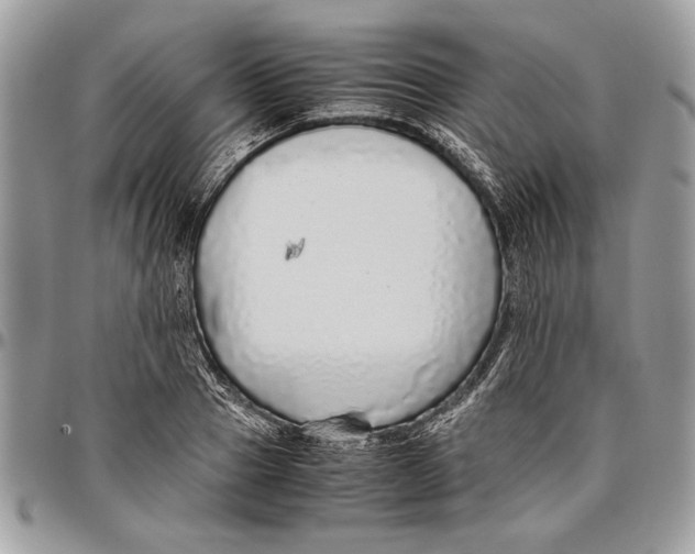 X0000096420937200802141631