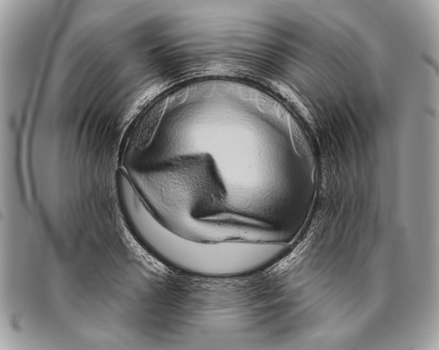 X0000096420938200802141631