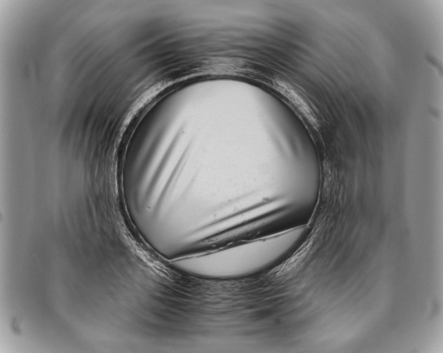 X0000096420939200802141631