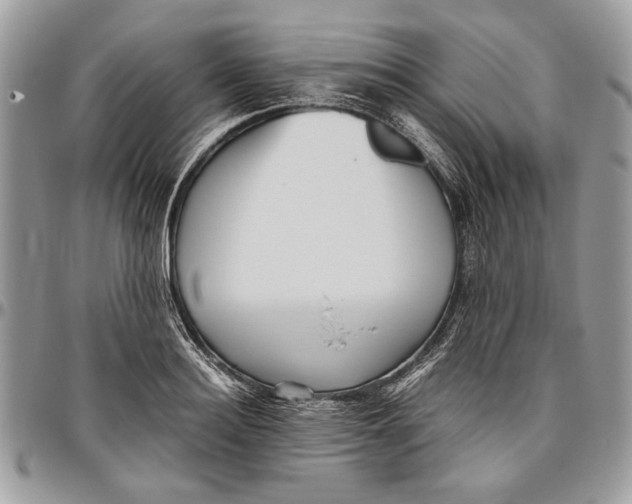 X0000096420940200802141631