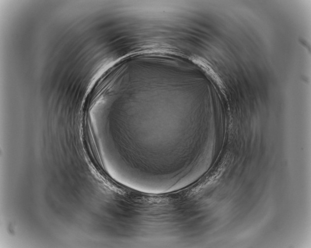 X0000096420941200802141631