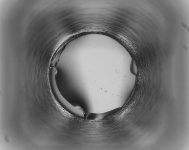 X0000096420942200802141631