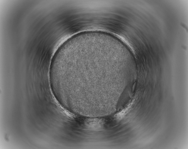 X0000096420943200802141631