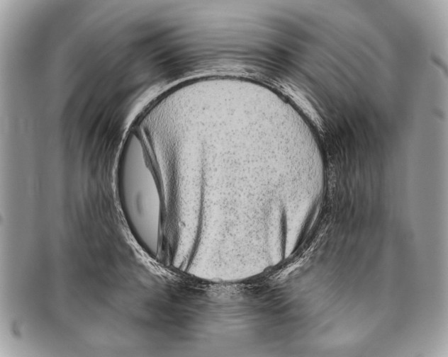 X0000096420944200802141631