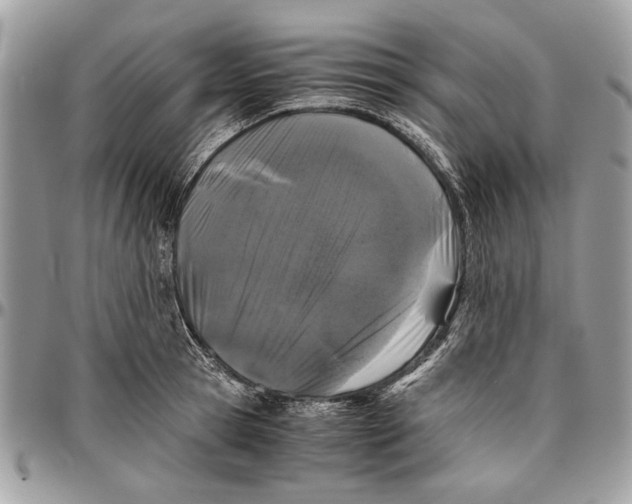 X0000096420945200802141631