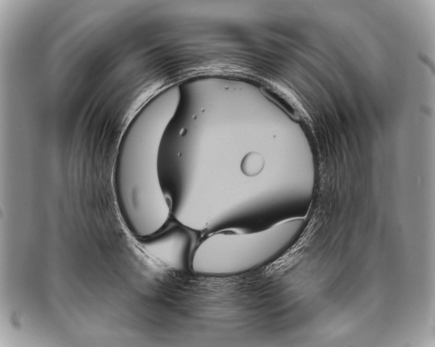 X0000096420946200802141631