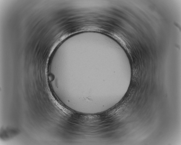 X0000096420947200802141631