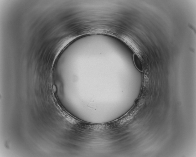 X0000096420948200802141631