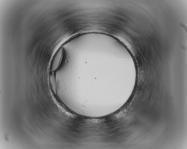 X0000096420949200802141631