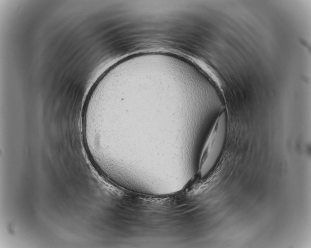 X0000096420951200802141631