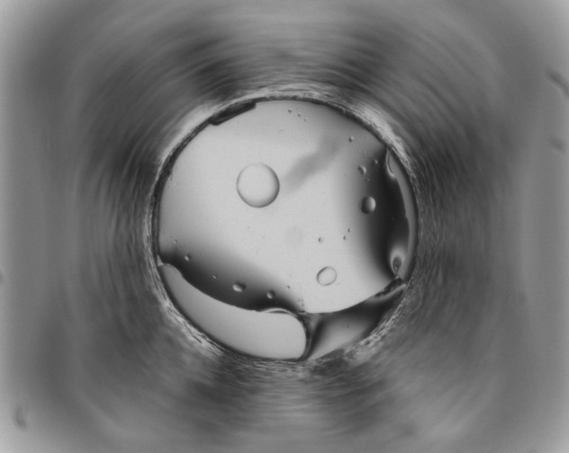 X0000096420952200802141631