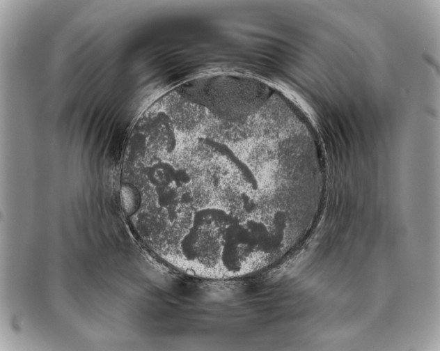 X0000096420953200802141631