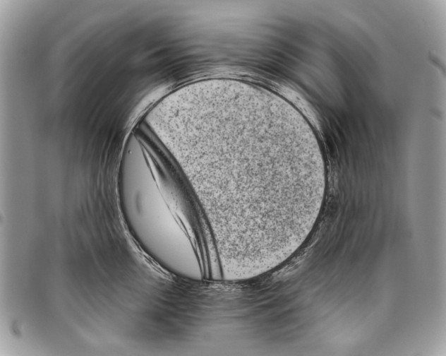 X0000096420954200802141631