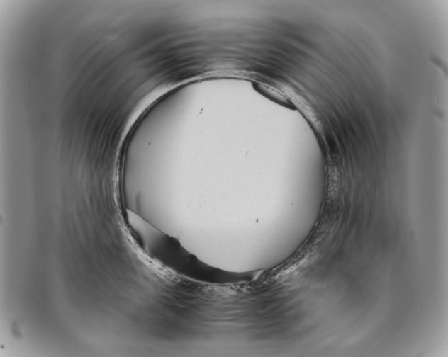 X0000096420955200802141631