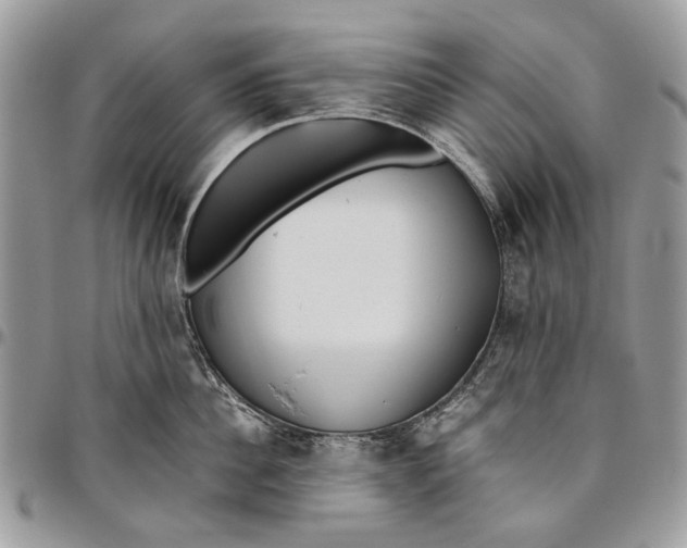 X0000096420956200802141631